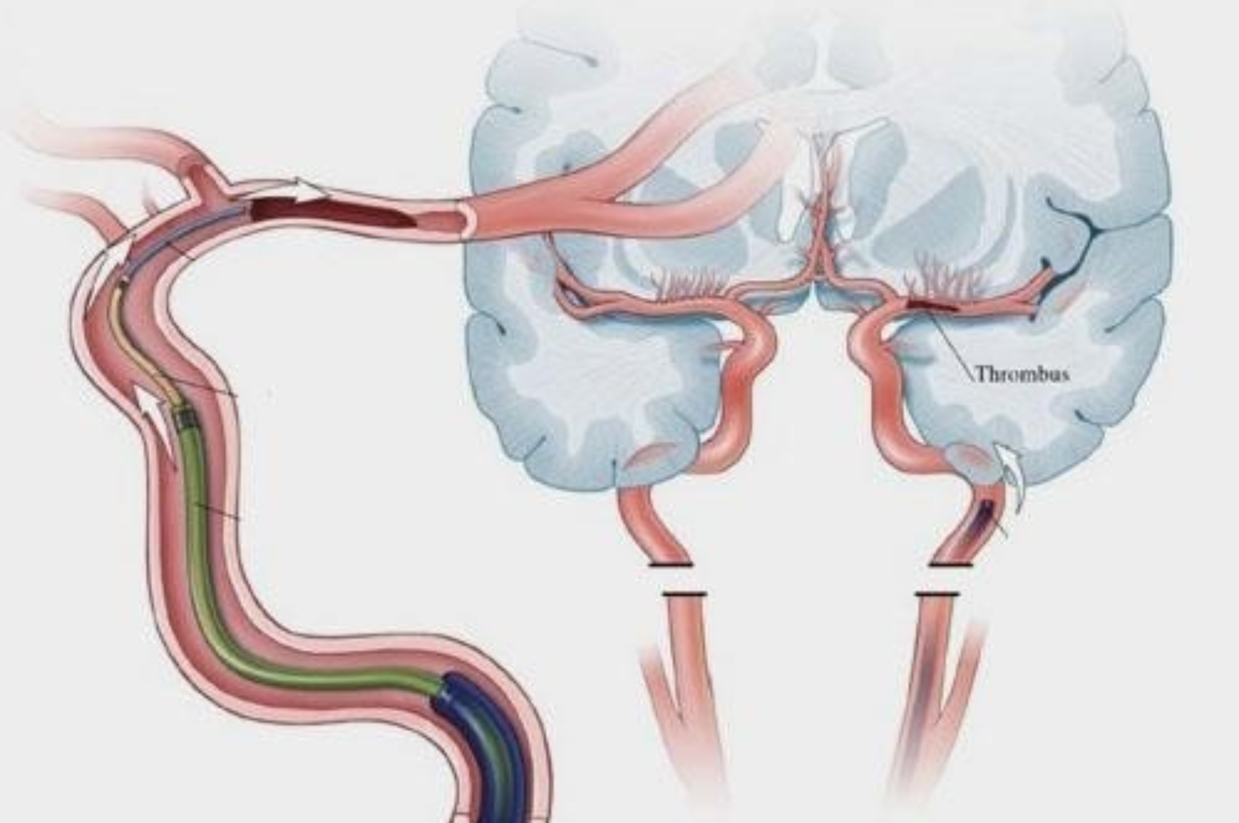 Untitled design (42)