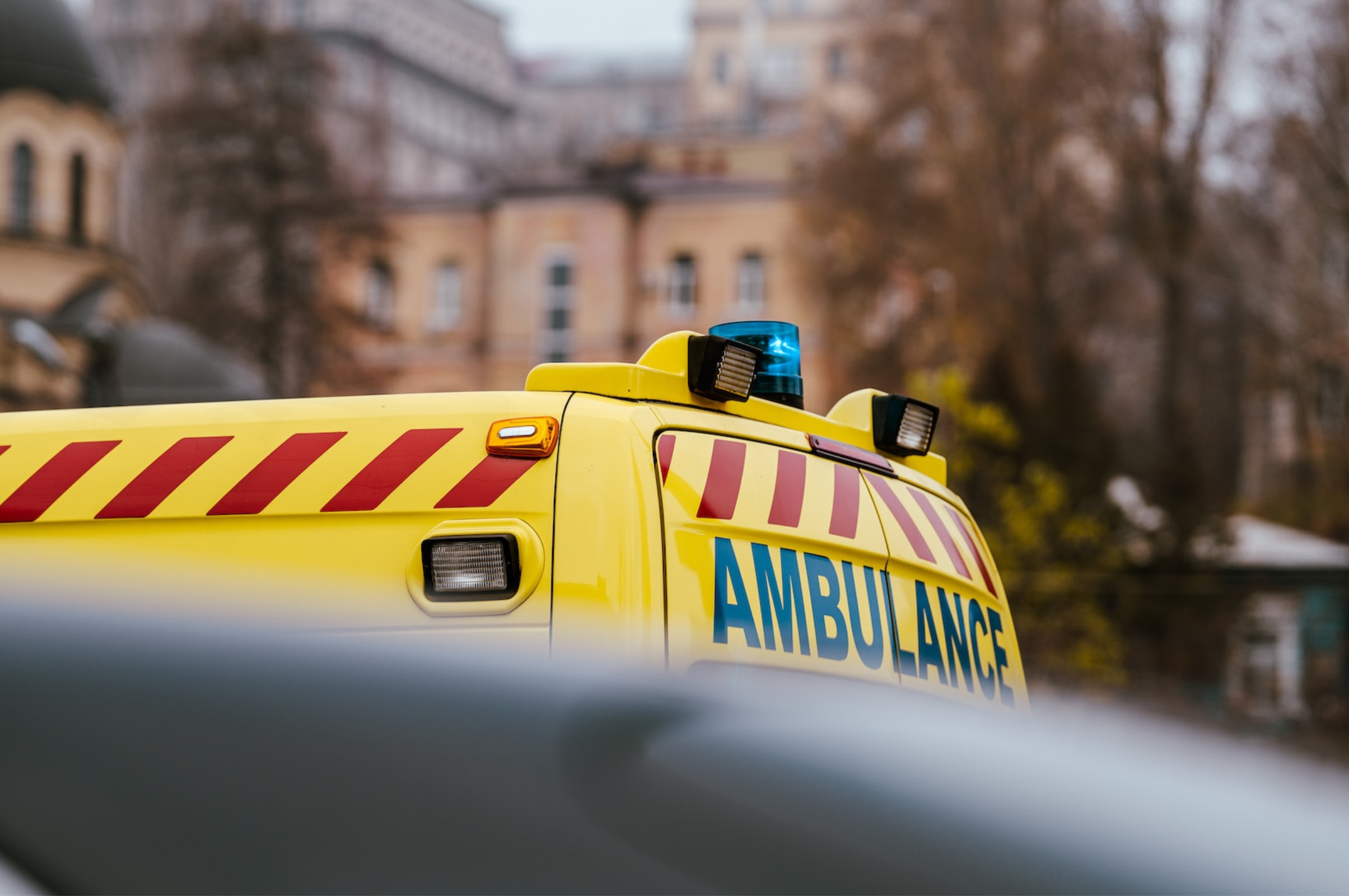 Untitled design (49)